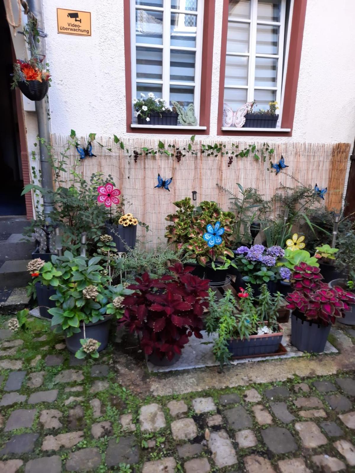 Kleine Altstadt Oase Bernkastel-Kues Exterior foto